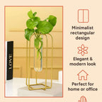 Premium Crystal Flower Holder – Perfect Centerpiece for Living Room Decor (4)